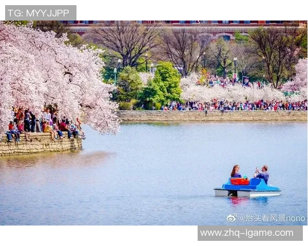 肚利船与大板樱花的精彩对决揭示了传统与现代的完美融合之美